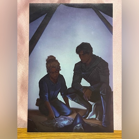 Fairyloot Heir Overlays NWT - Picture 3 of 7